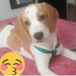 daisy palma - @daisypalma6 - Instagram