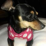 Daisy palma - @daisypalmab - Instagram