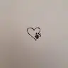 Daisy Palma - @daisypalma0 - TikTok