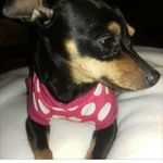 Daisy Palma Martínez - @daisypalma_ - Instagram