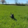 Daisy - @daisy_palmer - TikTok