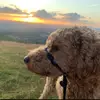 Daisy Palmer - @daisy.palmer0 - TikTok