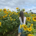 daisy palmer x - @daissspalmer - Instagram