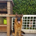 Daisy Palomares - Facebook