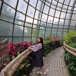 Daisy Pan - @daisy.pan.16 - Instagram
