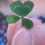 Daisy - @daisy_parkinson2 - Instagram