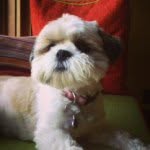 Daisy Jane Parkin - @daisy_jane5678 - Instagram