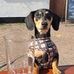 Daisy Parkin - Facebook