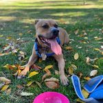 Daisy Parks-Lemon - @daisy_mae2480 - Instagram