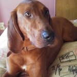 Daisy - @daisyparnell - Instagram