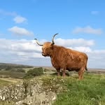 Daisy parnell - @daisyparnell62 - Instagram