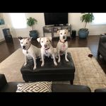 Daisy Parsons - @daisyandher2pitts - Instagram