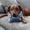Daisy - @daisyppatel - TikTok