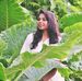 Patel Daisy - Facebook