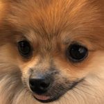 DAISY - @daisy_el_patron - Instagram