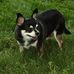 Daisy Paulson - Facebook