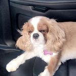 daisy paulson - @daisyfrickinpaulson - Instagram