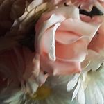 payton Daisy Vernarsky - @vernarskypaytondaisy - Instagram