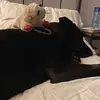 daisy - @daisy_peacock - TikTok