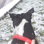 daisy-mae 🌨🤍🌼 - @daisy.mae.peck - Instagram