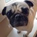 Daisy Pelletier - Facebook