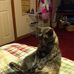 Daisy Pelletier - Facebook