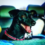 Daisy Pemberton - @daisysdepartures - Instagram