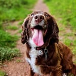 DAISY | BEAR | BUCK | PENNY - @daisy.bear.buck.penny - Instagram