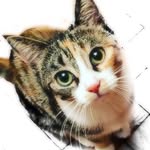 Daisy - @daisy_penny_ - Instagram