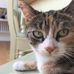 Daisy Penny - Facebook