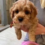 DAISY PENNY WILSON 🌸💞 - @daisypennywilson - Instagram