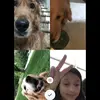 Kaydee, Bear, Daisy, and Penny - @beardaisypenny444 - TikTok