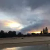 Penny - @daisy.penny - TikTok