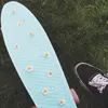 welcome luvs🌻🦋🌻🦋 - @daisypennyboarders - TikTok