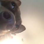 @daisy.is.perfect - Instagram