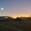 Daisy Perfect - @daisy.perfect7 - TikTok