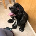 Daisy Perkins - @daisyperkins66 - Instagram