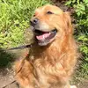 Daisy Perry - @daisythegolden15 - TikTok