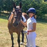 ✿Daisy Perry ✿ - @dgp_eventing - Instagram