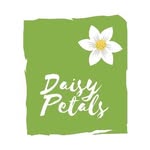blooming daisies - @__daisy_petals__ - Instagram