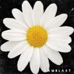@daisy.petals - Instagram