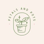Daisy | Petals and Pots NI - @petalsandpots.ni - Instagram