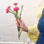 Daisy Petals 💄 - @daisyy_petals - Instagram