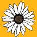 Daisy Petals Co. - Facebook