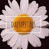 Daisypetals - @daisypetalstiktok - TikTok
