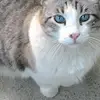 Daisy Peters - @daisy.peters08 - TikTok