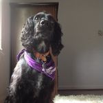 Daisy Peterson - @daisy_daisy_peterson - Instagram