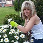 Daisy Peterson - @daisy.peterson.31 - Instagram