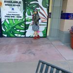 Daisy Peterson - @daisypeterson77 - Instagram