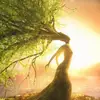Daisy Peterson - @daisy.peterson65 - TikTok